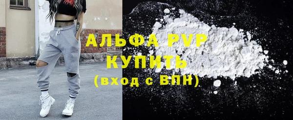 сатива Абаза