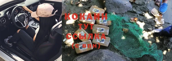 крисы Абдулино